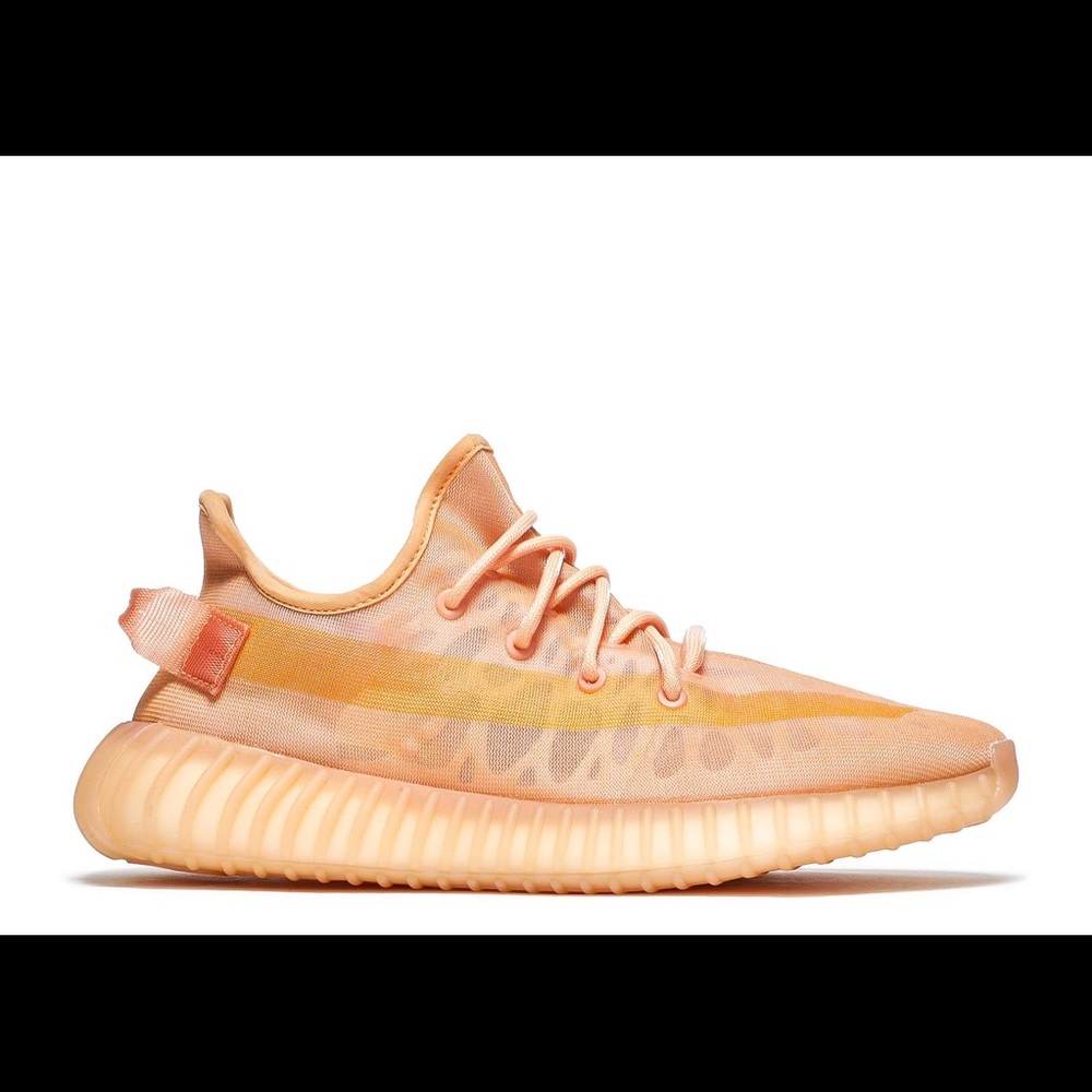 Adidas Yeezy boost 350 mono clay v2  monoclay